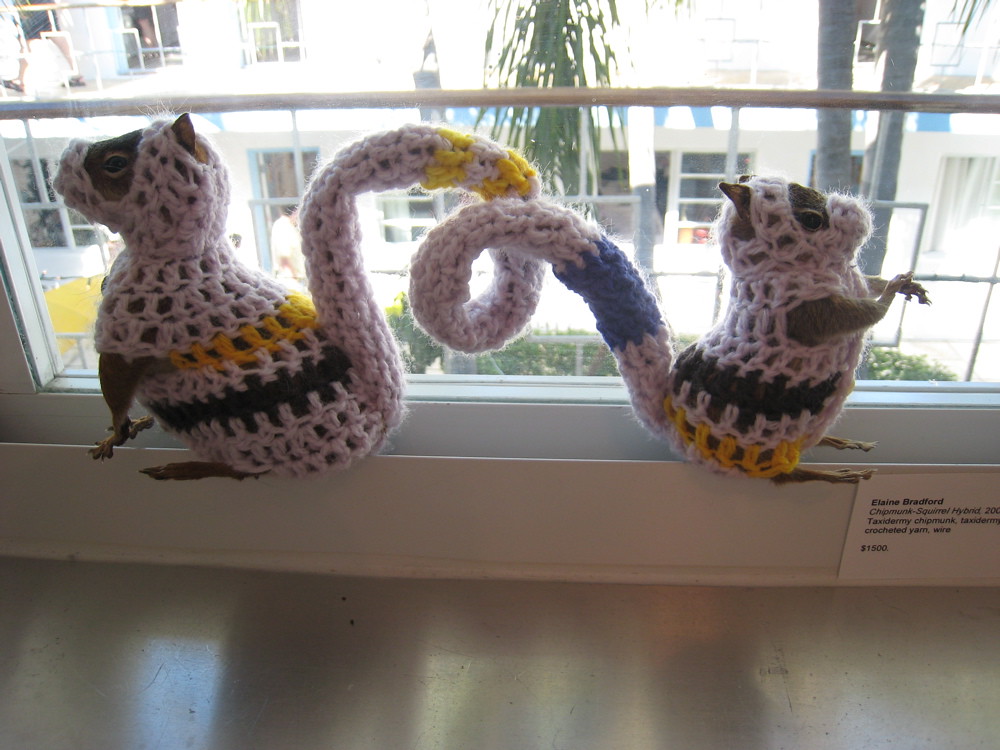 ChipmunkSquirrel Hybrid 2007. Taxidermy squirrel, taxider… Flickr