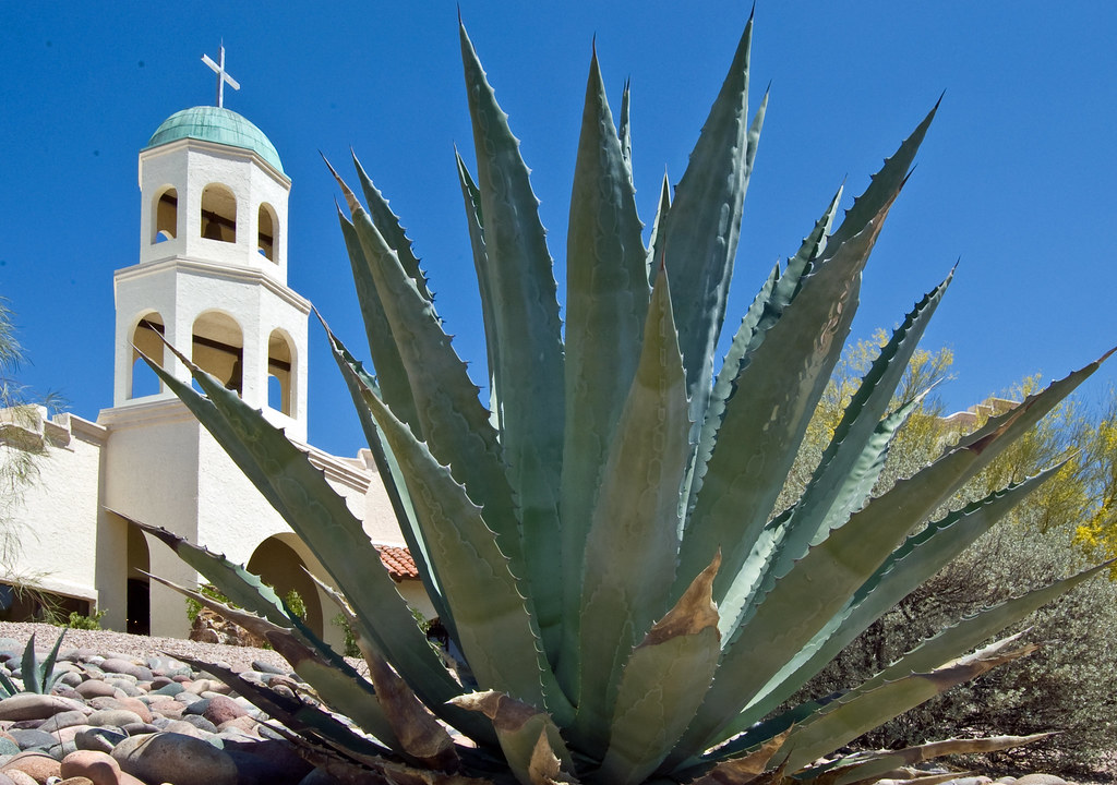 Agave goes to church Agave in front of Valley Presbyterian… Flickr
