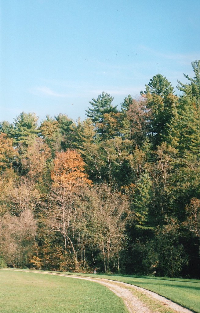 Fall Colors at Camp Winnebago This photo was taken in Camp… Flickr