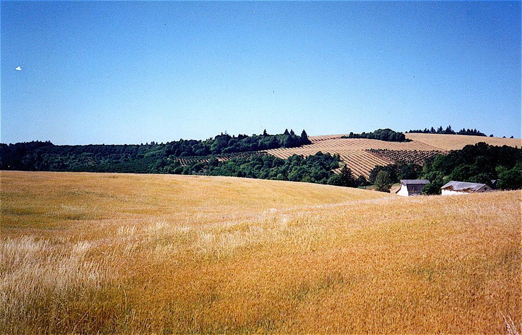 Oregon Farmland This beautiful sweep of country is a littl… Flickr