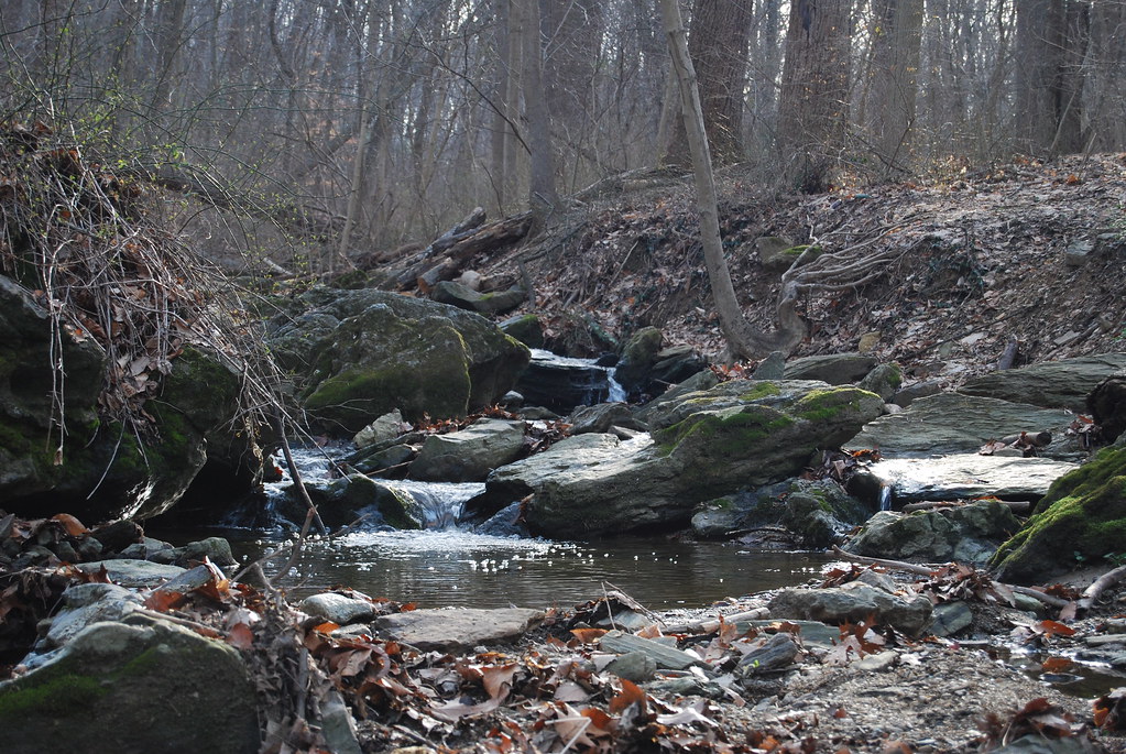 Bells Mill Road nicole.trout Flickr