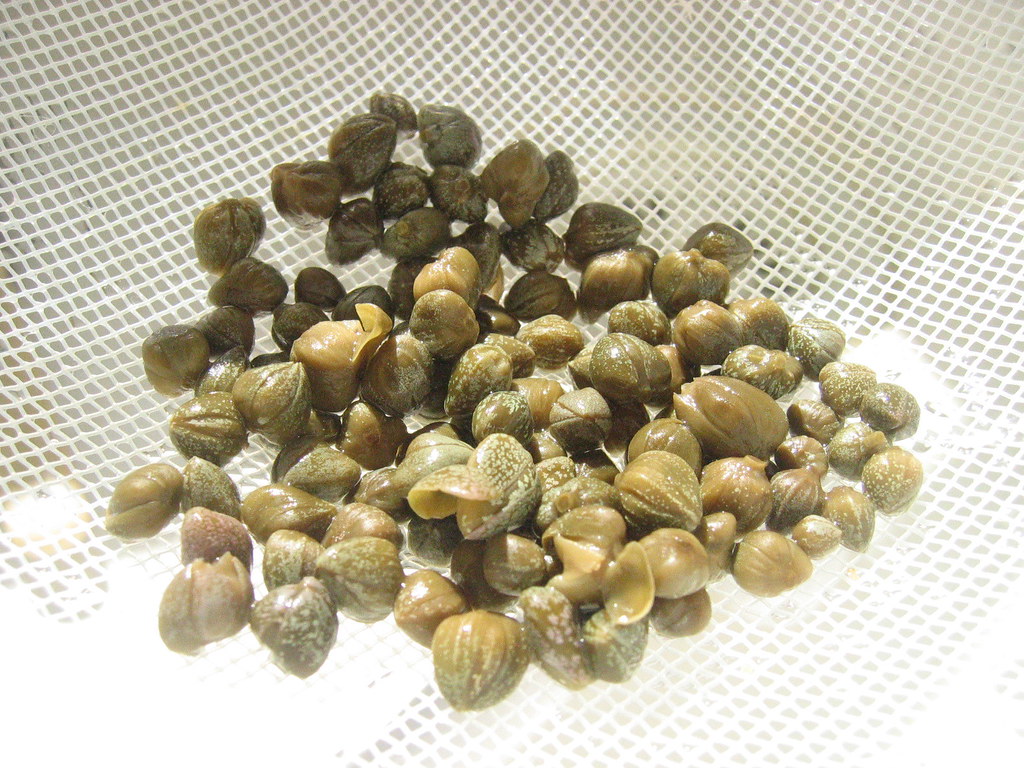 Rinsing Capers Capers come either in jars of brine, or wra… Flickr