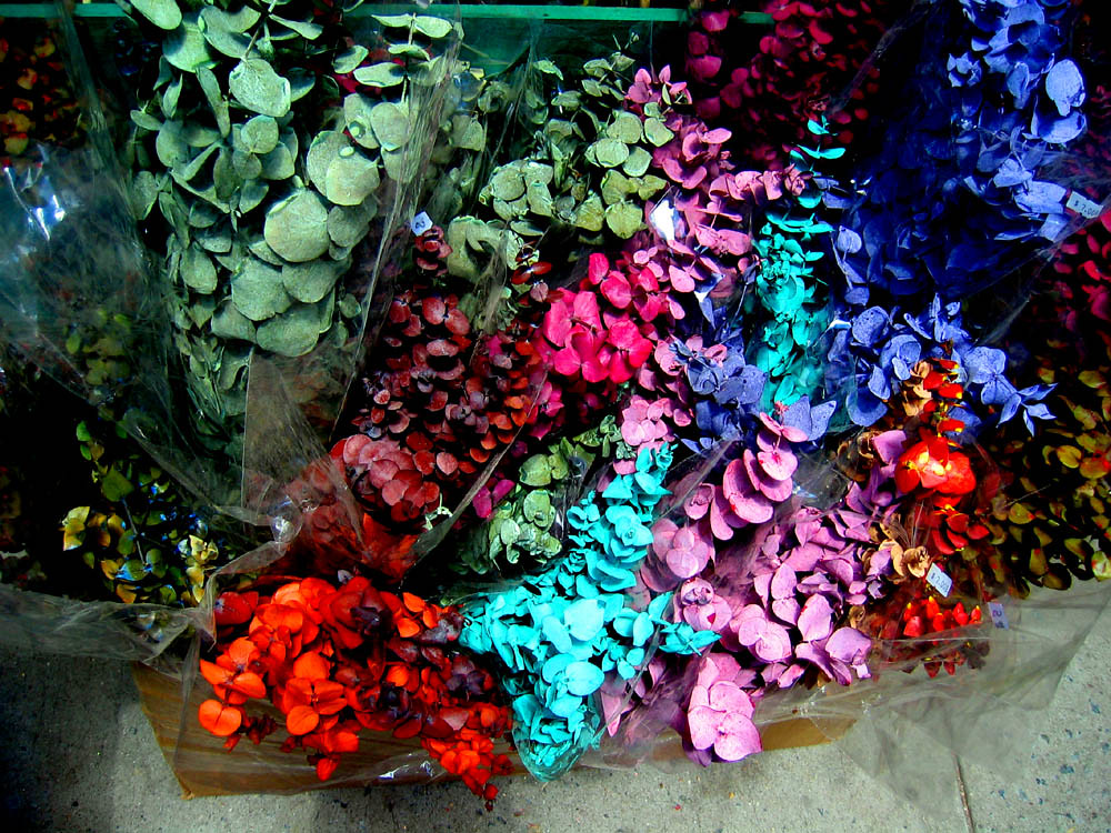 Spraypaint flowers Cher Amio Flickr