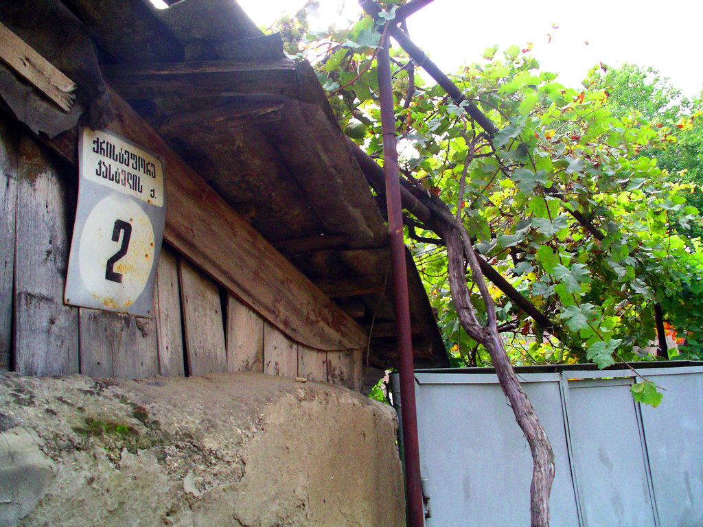 Gori House with Vine Susan Flickr