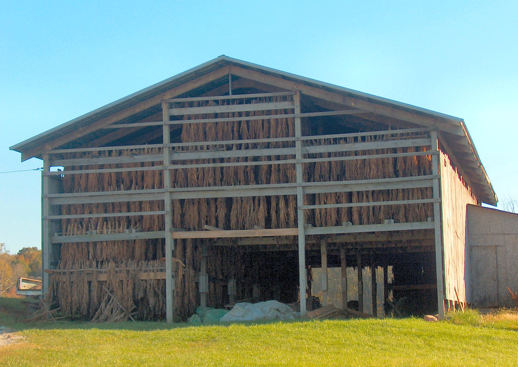 Tobacco Barn An open barn with tobacco drying in it. I too… Flickr
