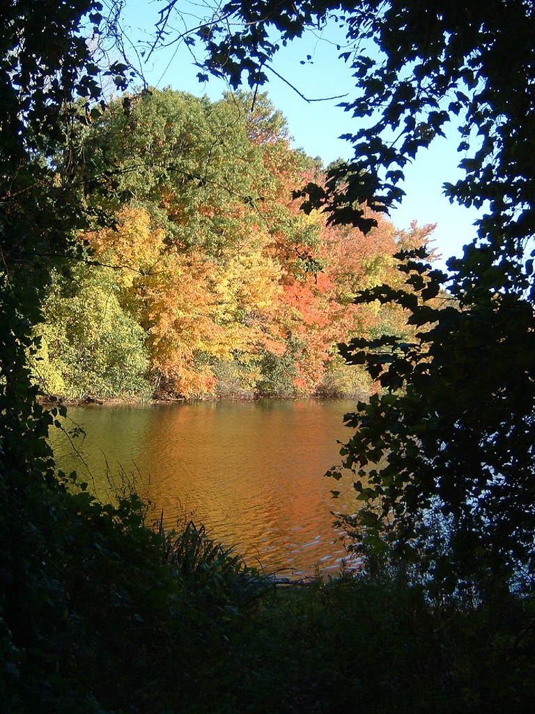 DSCF0024 Twin Lakes in Eastchester, New York, October 30, … Flickr