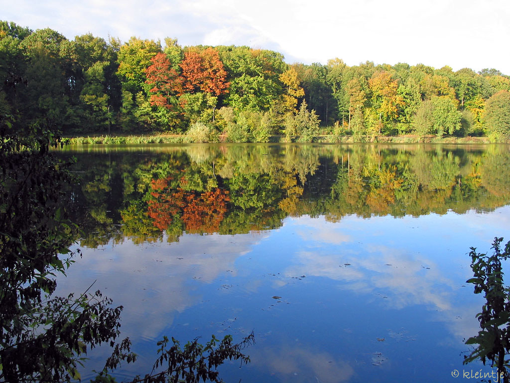 Autumn Zoete waters. OudHeverlee. eLLe Photography Flickr