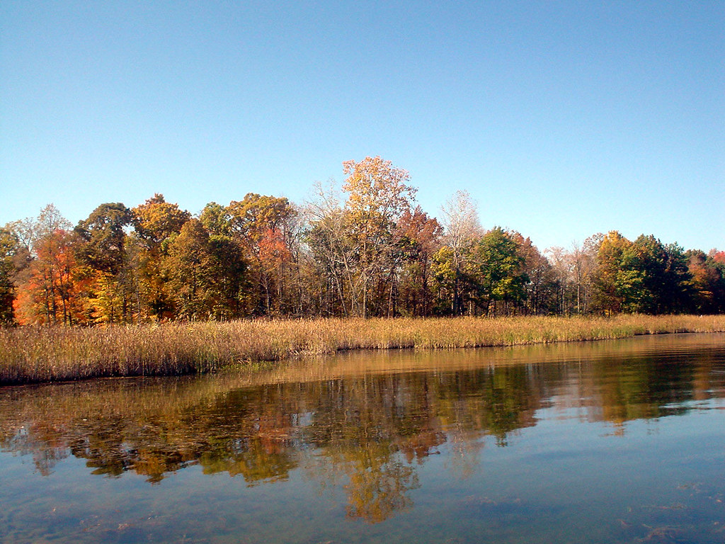 Stony Creek Lake Nice looking colors on Stony Creek Lake. Larry The