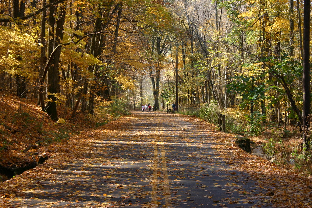 Otter Creek Rd Alison Groves Flickr