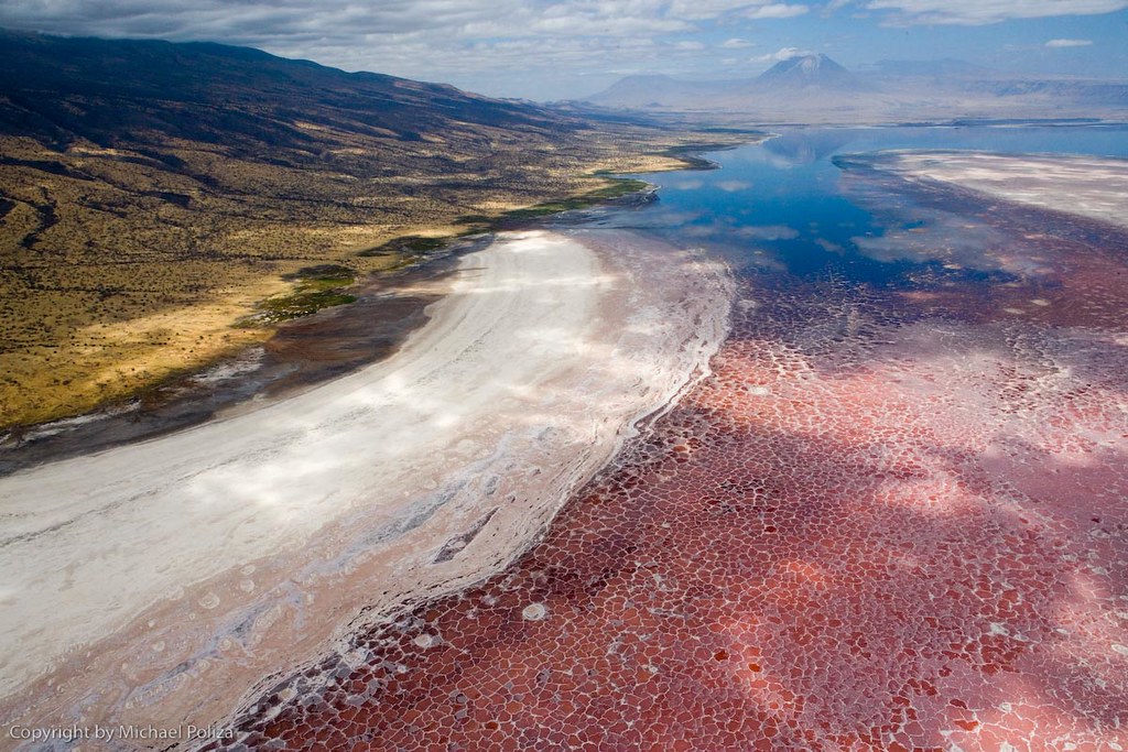 Lake Natron Again, Lake Natron in northern Tanzania. In th… Flickr