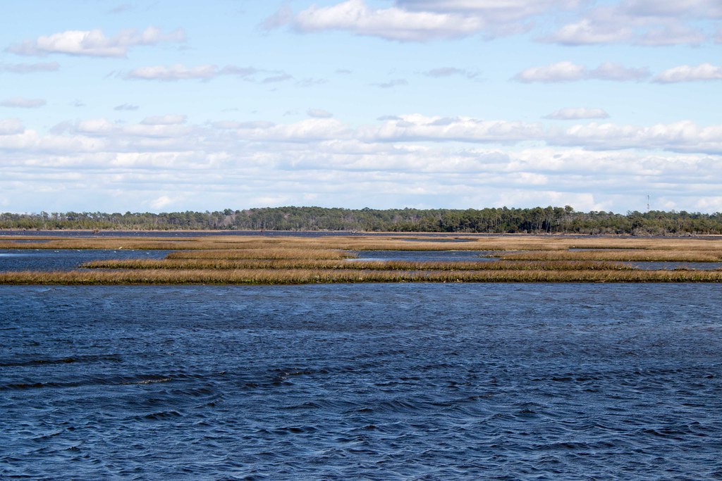 Coastal Marsh This image captures a typical coastal North … Flickr