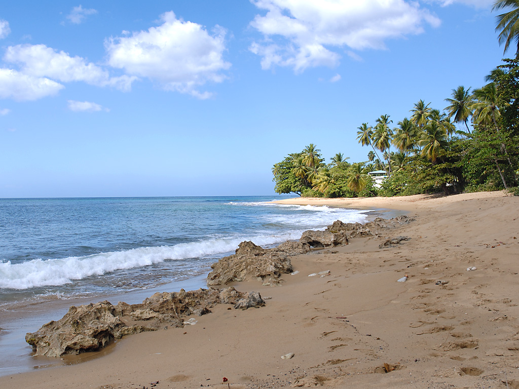 Rincon Beach Taken behind the Black Eagle area in Rincon P… Flickr