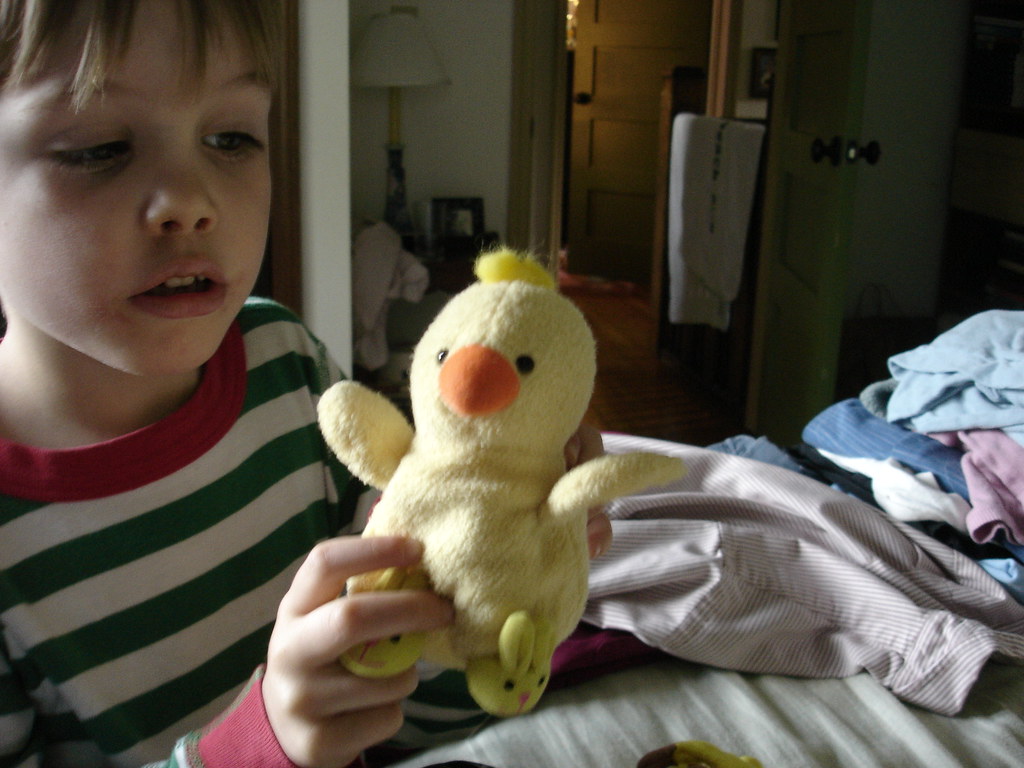 Funny chicken My brother with his stuffed chicken in North… Flickr