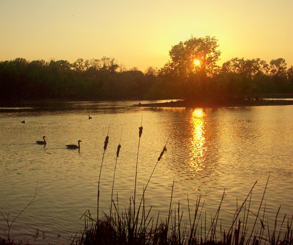 one more... Taken at Cooks Landing in North Little Rock on… Flickr