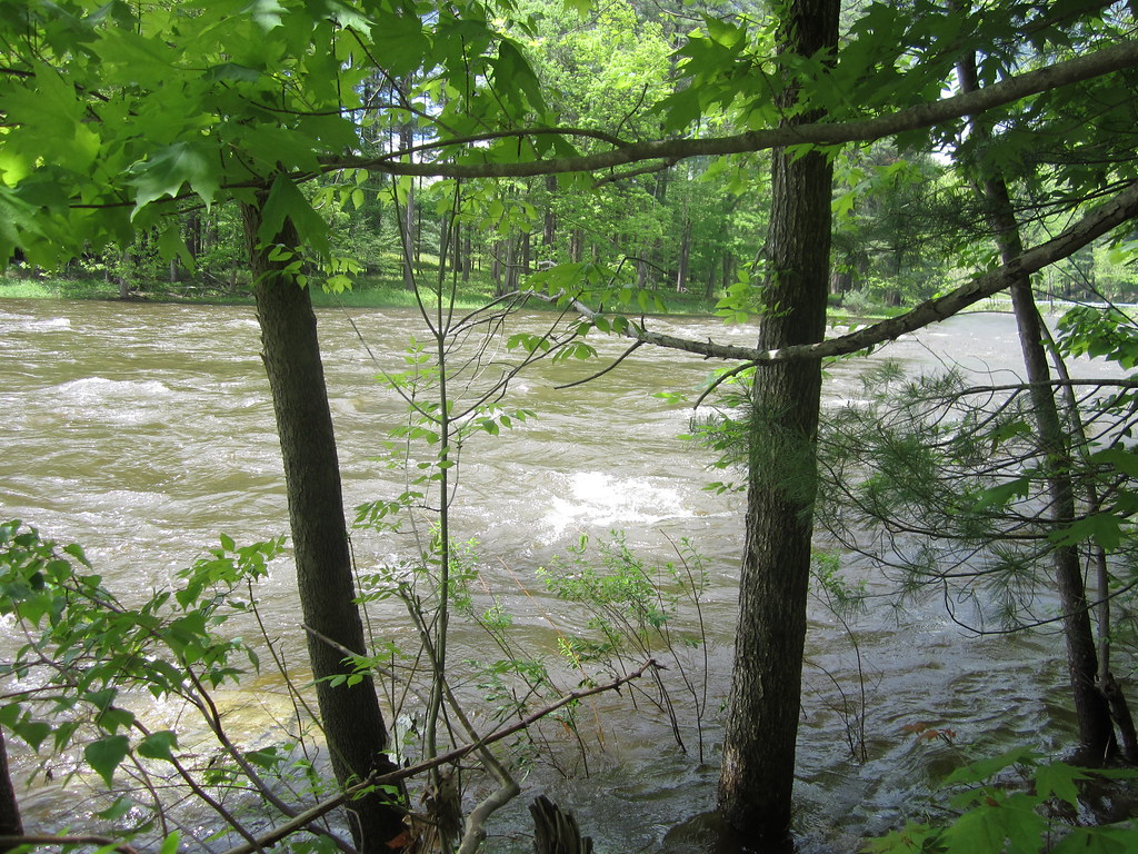 Lackawaxen River Shane Beake Flickr