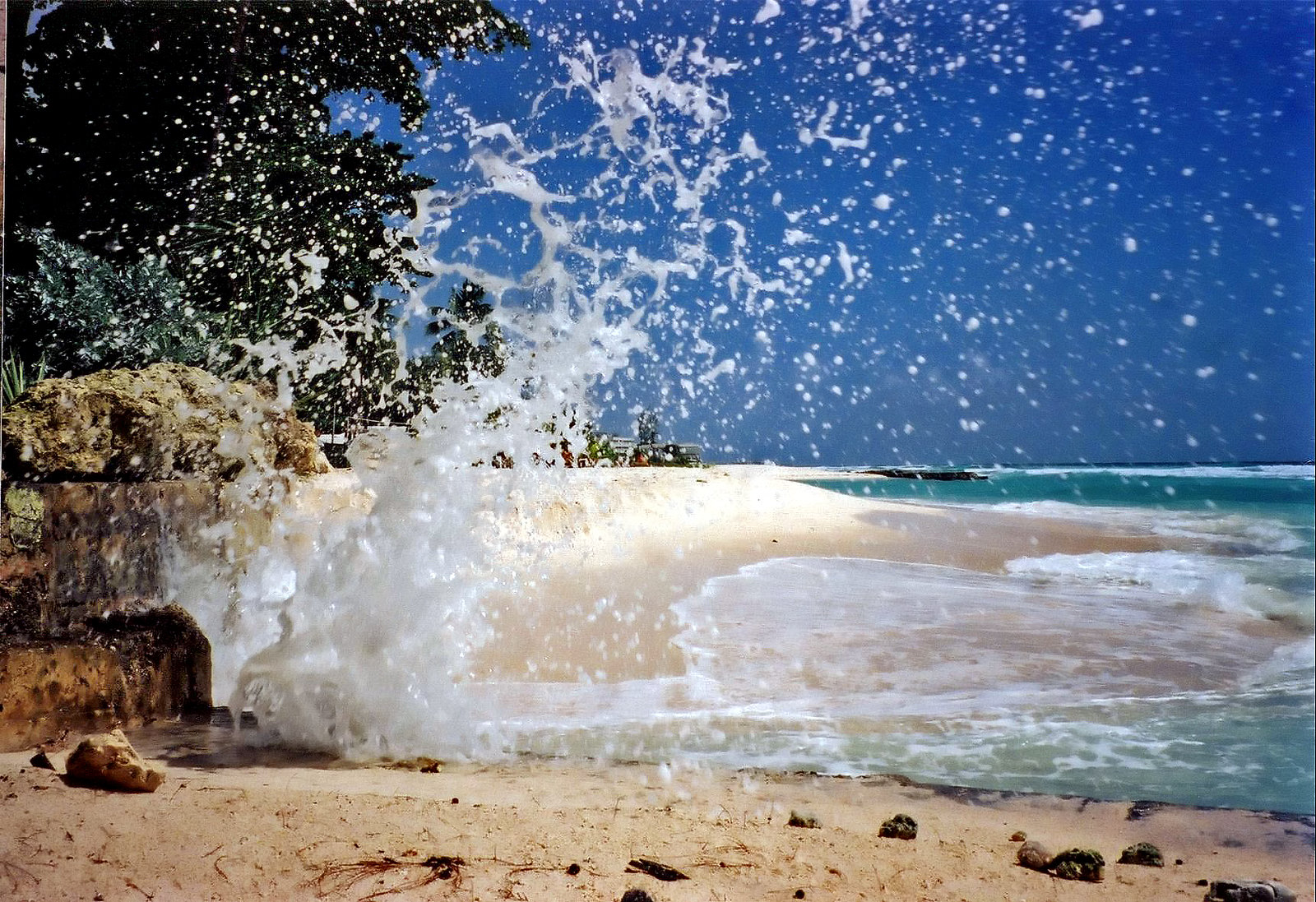 Hastings, Barbados Flickr