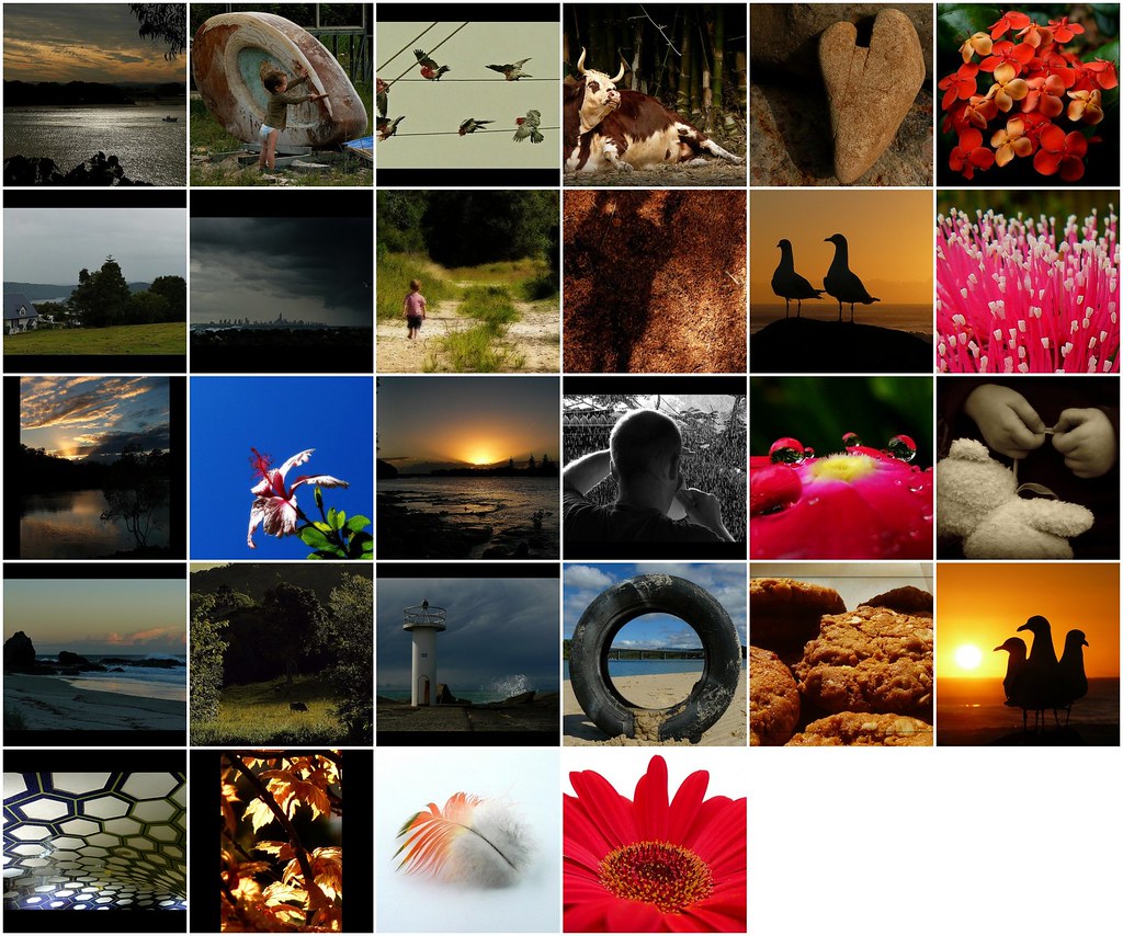 Stone Cow Events On April 8 2023 In Florida