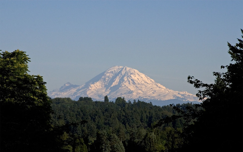 Mt. Rainier view of THE MOUNTAIN from the University of Wa… Flickr