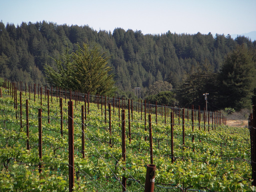 Soquel Vineyard TrevinRard Flickr
