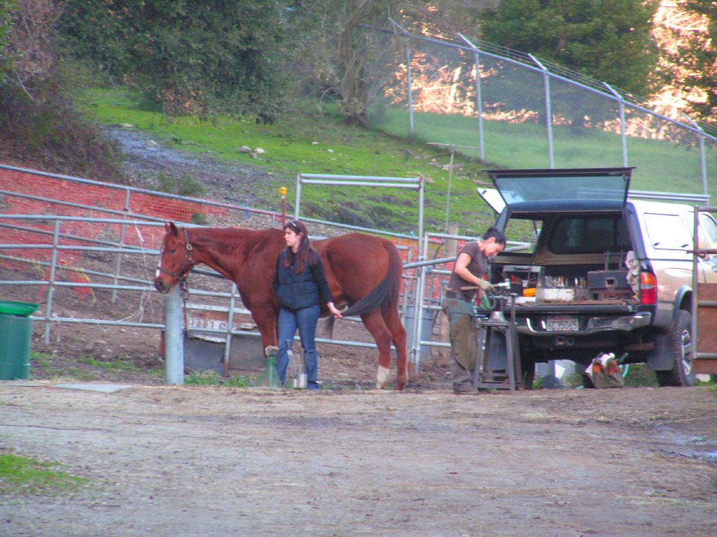 1 horse 2 women 1 12 08 at a horse boarding place in Felto… Flickr