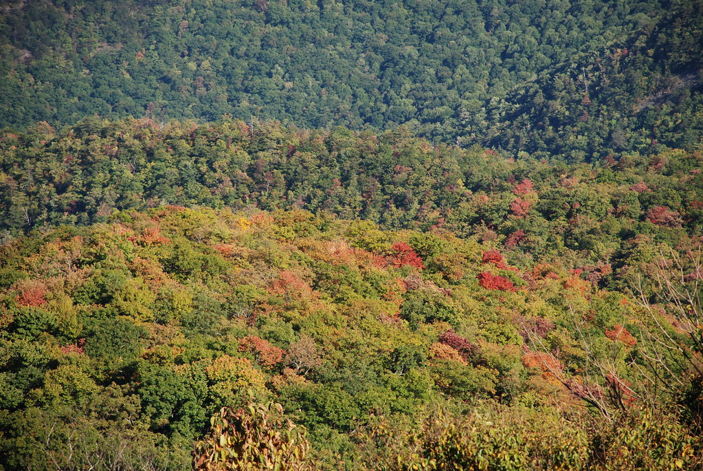 Beautiful Fall Color from Brasstown Bald One of the mounta… Flickr