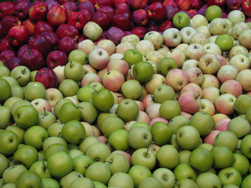 Apple Season It was late Fall, and there was a colorful co… Flickr