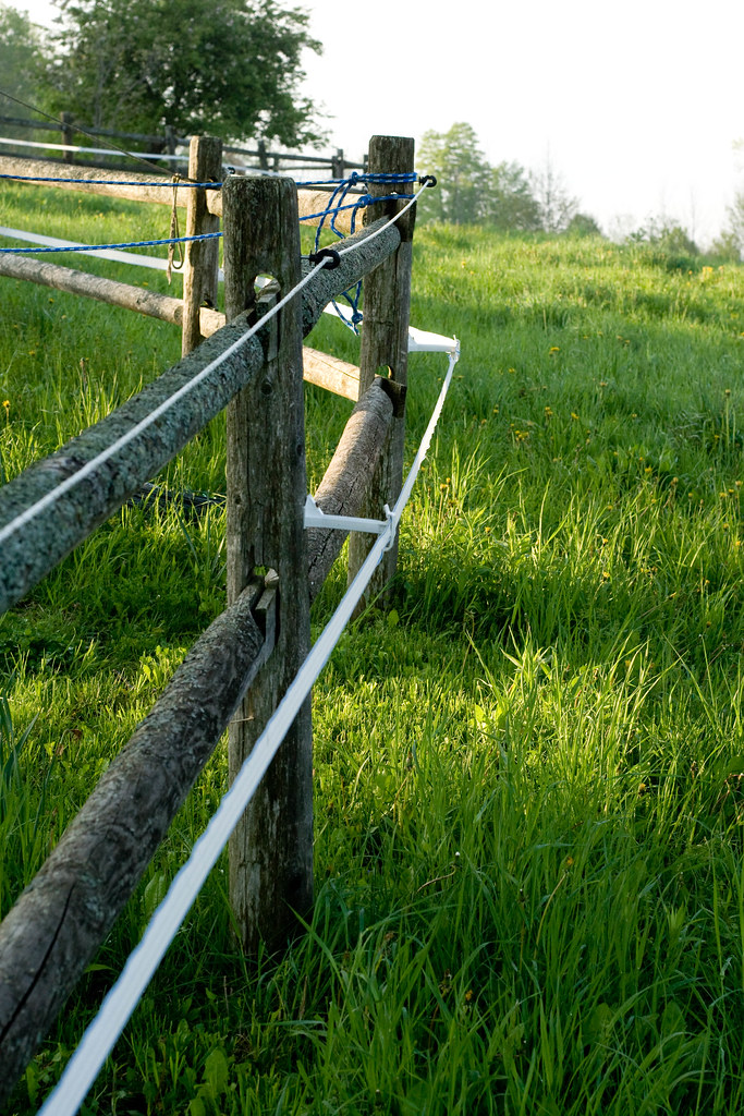 Electric Fence, Facing The Houses With Both Electric Tape … Flickr