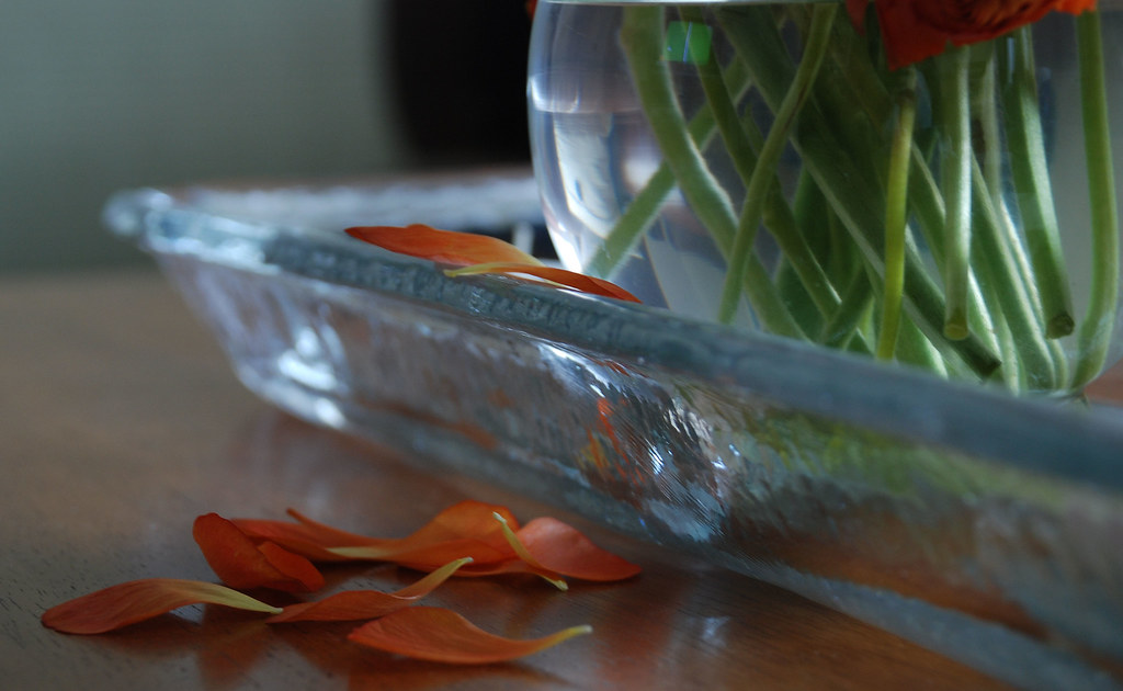 Loose Loose flower petals from some wilting ranunculas