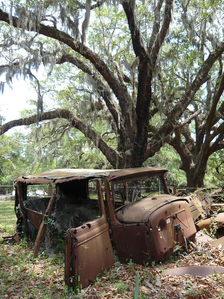 P1020334 Decaying Oldtimer Car, Cumberland Island, GA mid/well Flickr