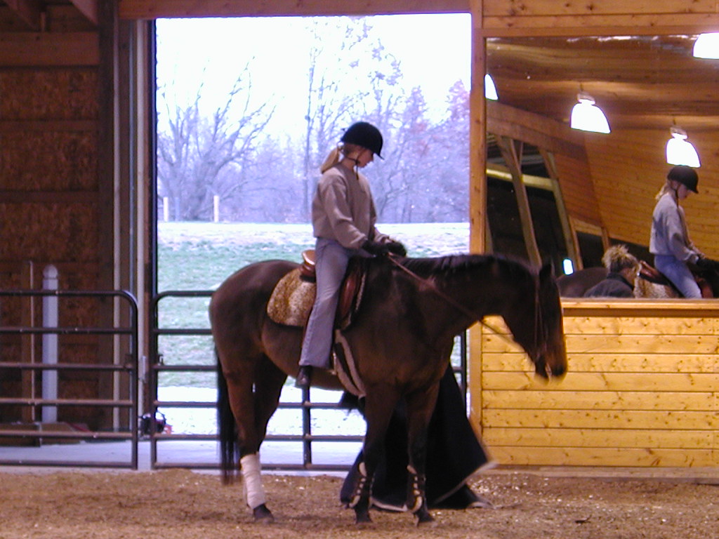 Riding Lessons Steve Houghton Flickr