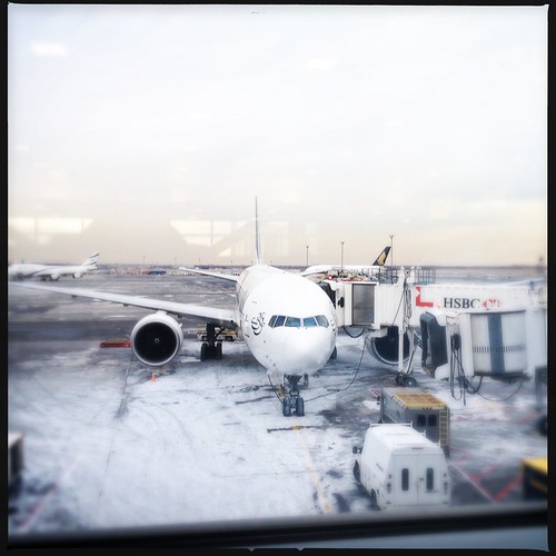 Trip to Melville JFK good bye! Marcus with a "c" Flickr