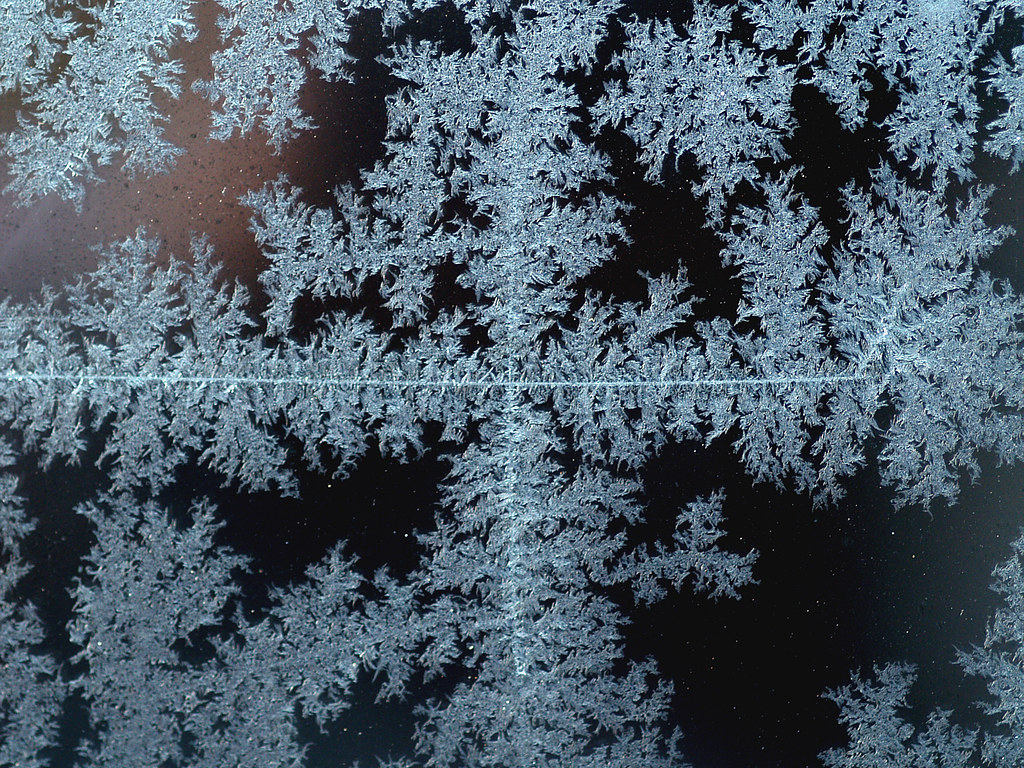 Fractal Ice Flowers Ice flowers on a window pane forming a… Flickr