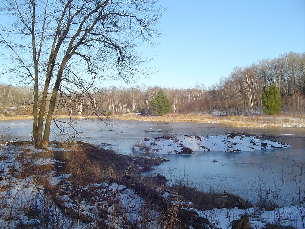Beaver Lodge An inside view would be interesting. Northern