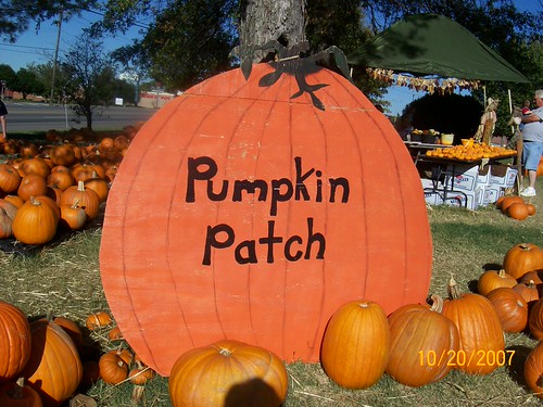 FUMC Hendersonville Pumpkin Patch I don't know how many ye… Flickr