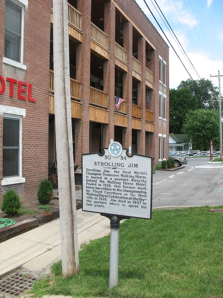 Historic Wartrace, Tennessee founded in 1851 The Walking H… Flickr