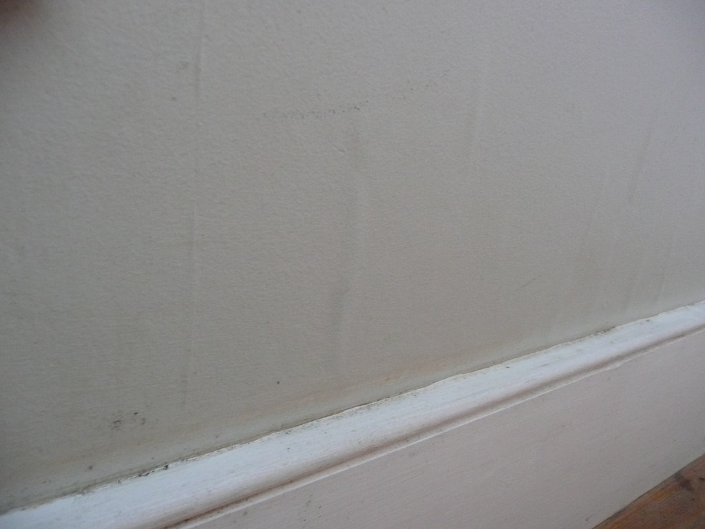 Bedroom Damp/mould Mould and damp on outside facing wall u… _michæl