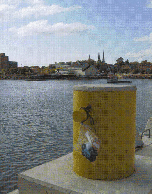 Charlottetown, PEI Fishing Cat left with the lady in the t… Flickr