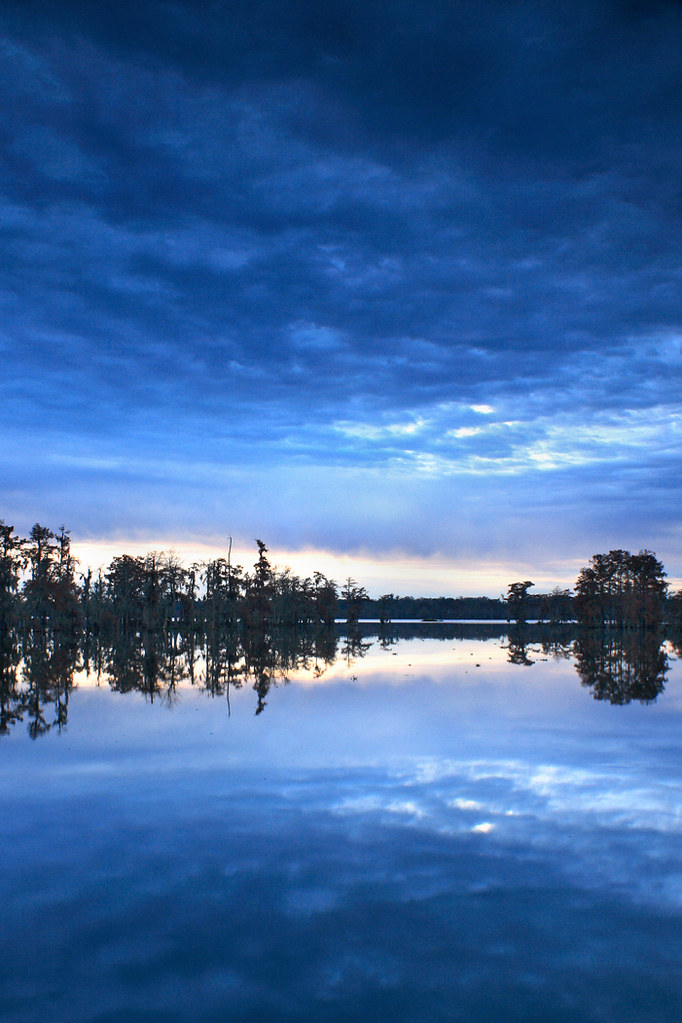 Elevation of Kim Dr, Lafayette, LA, USA Topographic Map Altitude Map