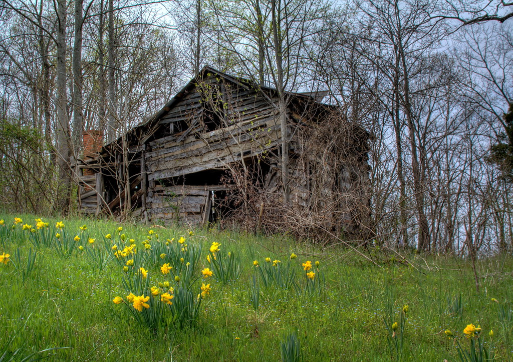 Elevation of W Main St, Lincolnton, NC, USA Topographic Map
