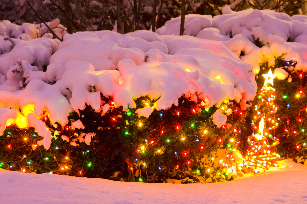 Christmas Lights Under Mantel of Snow Charles Edward Miller Flickr