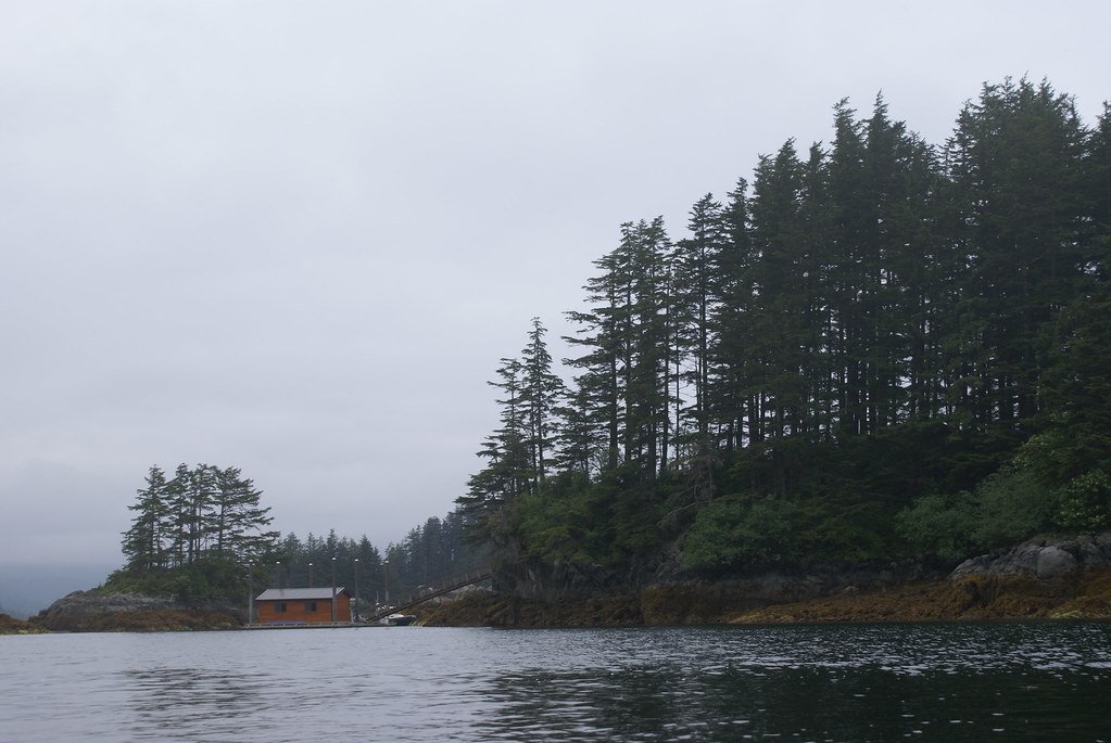 sitka, alaska kayaking sitka ichay Flickr