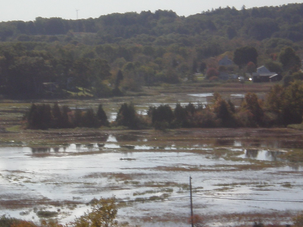 PA190061 Flood tide on Great Neck. Ipswich Ma billsea Flickr