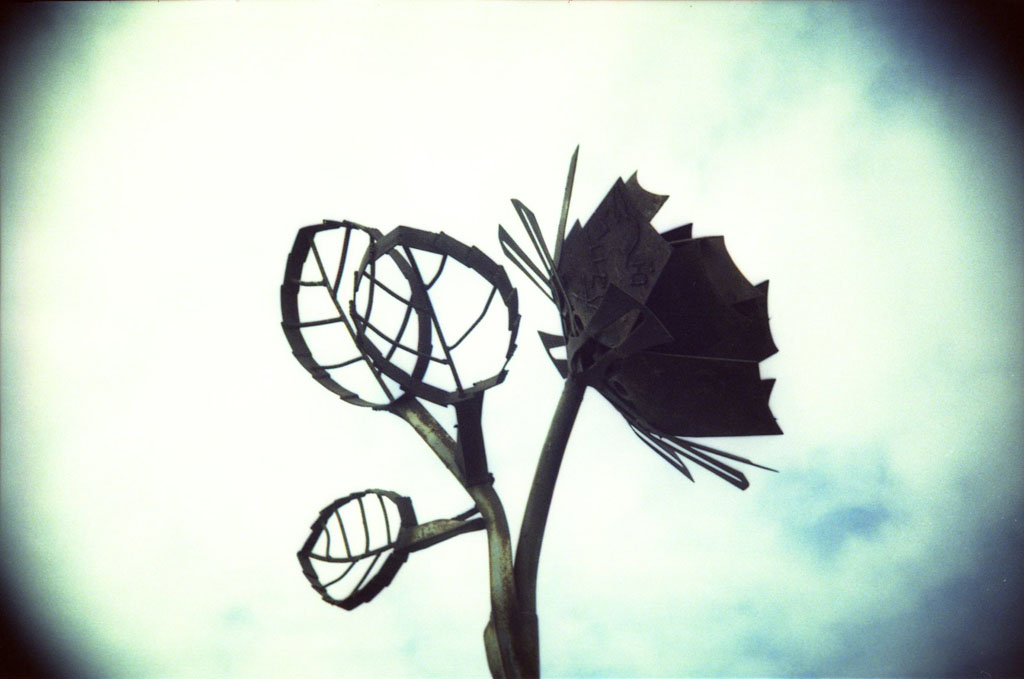 [ghosts & flowers] [ ♧ ] tony Flickr