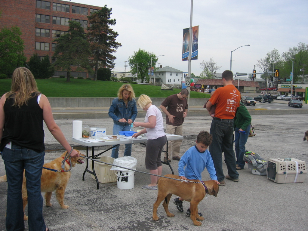 Staying busy at the Pet Connection table dykes_library Flickr