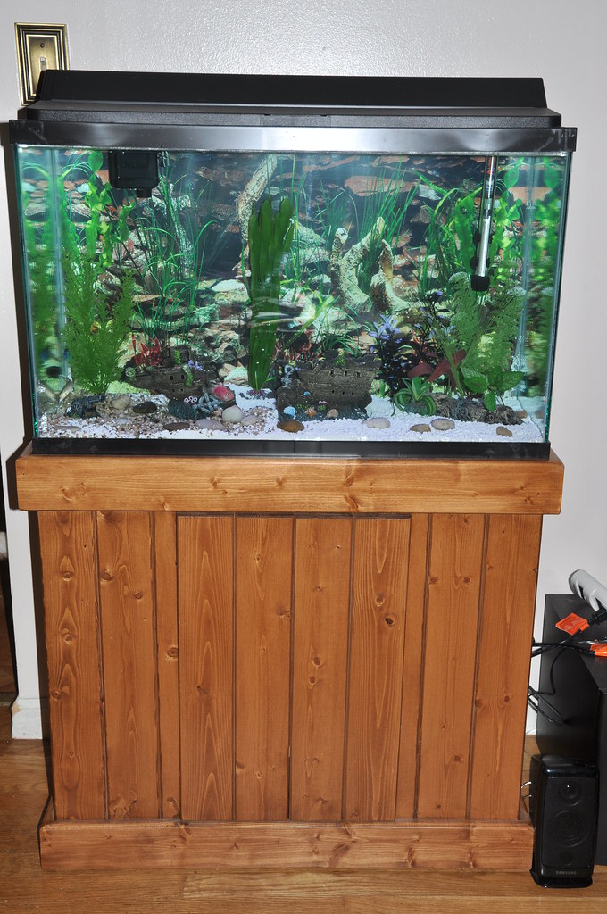 New Fish Tank My new 29 gallon fish tank with Oak Stand. O… Flickr