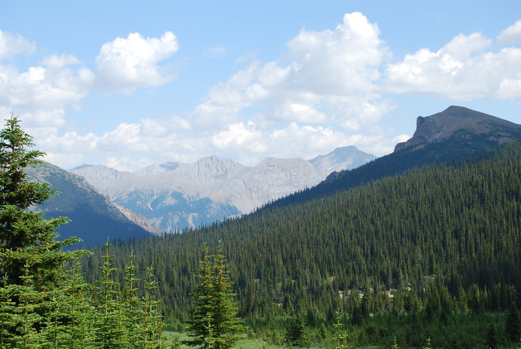 DSC_0100 Michael Lawton Flickr