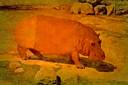 tan line, nude beach | Press "L" to see it BIGGER ON BLACK | Don | Flickr