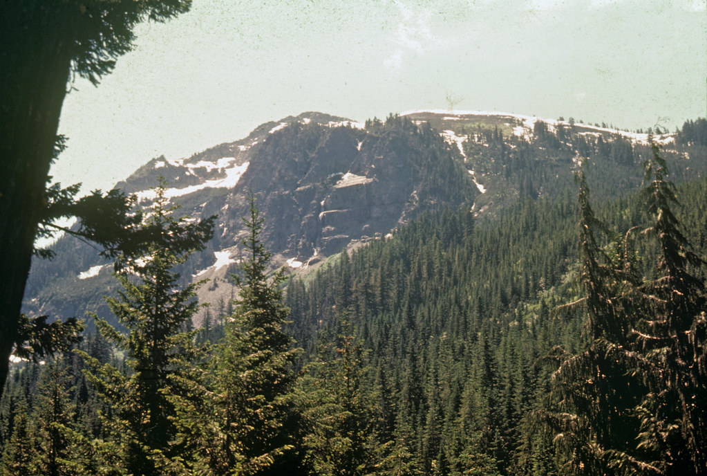 Camp Fife 13 June 1976 (date on slide) Camp Fife Goose Pra… Flickr