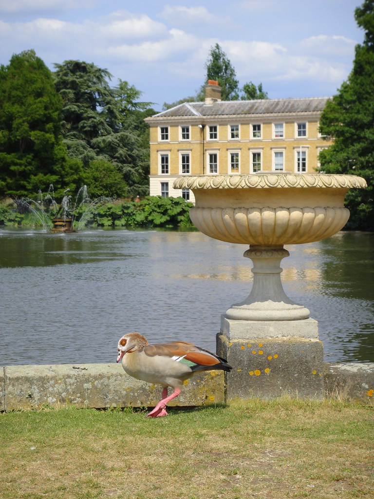Kew Gardens Museum and Lake Matt Kieffer Flickr