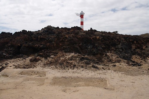 Pocetas | Pocetas artificiales destinadas a la producción de… | Flickr